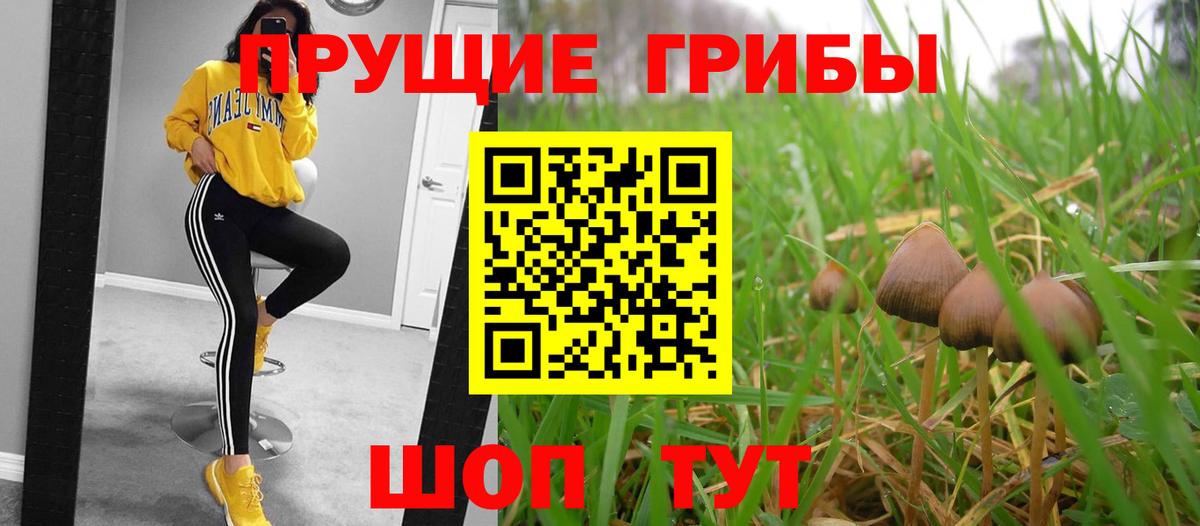Псилоцибиновые грибы Psilocybine cubensis Егорьевск