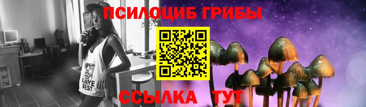 Егорьевск  Галлюциногенные грибы прущие грибы  купить наркотики цена  Вход с VPN 